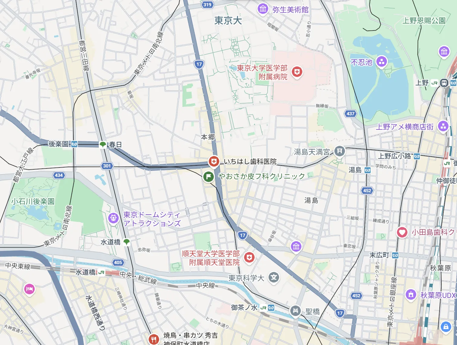 Google Map